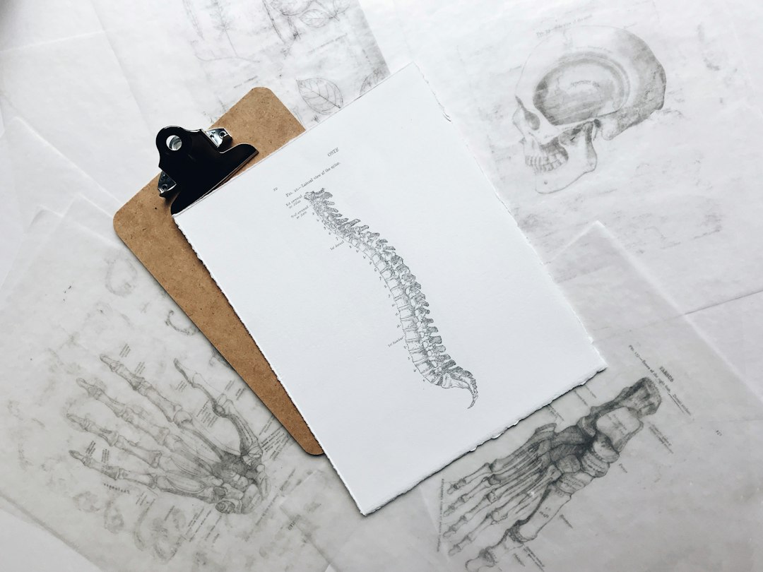 Understanding the Worldwide Reach of Modern Spine Care